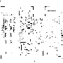 mp_13.gif